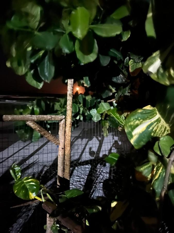 Vila Dos Gnomos Paraiso Mistico Pe Na Areia Ilhéus Exterior foto